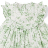 Baby Floral Toile Ruffle Dress