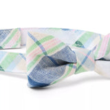 Plaid Bowtie