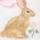 Floral And Bunny Sock 2-Pack