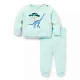 Baby Dinosaur Matching Jumper Set