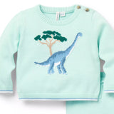 Baby Dinosaur Matching Jumper Set