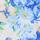 Floral Flutter Sleeve Top
