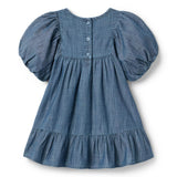 The Embroidered Denim Dress