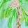 Lilly Pulitzer x Janie and Jack Rommy Baby Romper