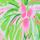 Lilly Pulitzer x Janie and Jack Norabelle 2-Piece Swimsuit