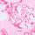 Lilly Pulitzer x Janie and Jack Ambie Dress