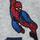 Marvel Spider-Man Jumper