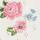 Embroidered Floral Pointelle Cardigan