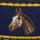 Horse Belt