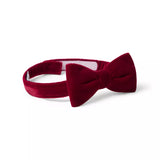 Velvet Bowtie