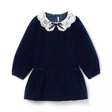 The Velvet Lace Collar Dress