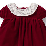 The Velvet Lace Collar Baby Dress