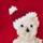 The Holiday Bear Baby Cardigan