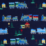 Organic Cotton Train Pyjama